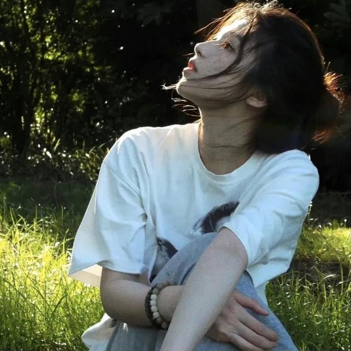 仙女座报告